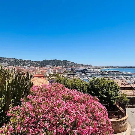 Suquet 5 Mins A Pied Du Palais * Cannes