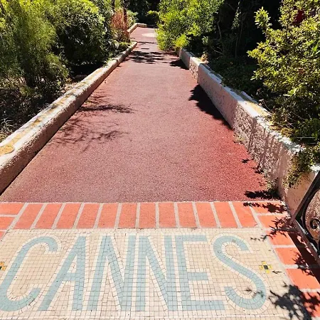 Suquet 5 Mins A Pied Du Palais Appartement Cannes